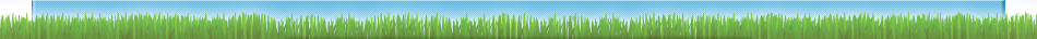header_bottom